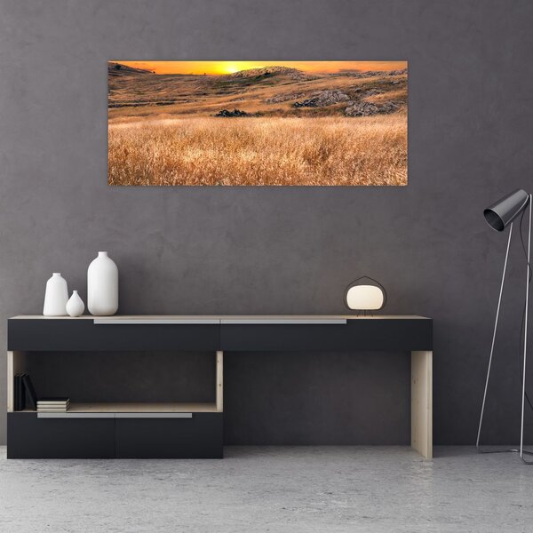 Tablou cu câmp (120x50 cm)