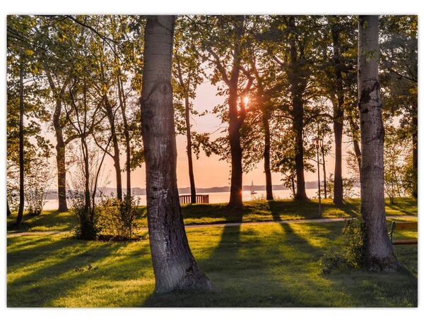 Tablou cu pomi lângă lac (70x50 cm)