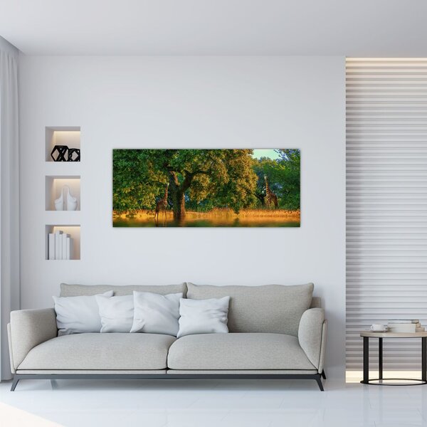 Tablou cu girafe în natură (120x50 cm)
