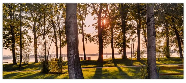 Tablou cu pomi lângă lac (120x50 cm)