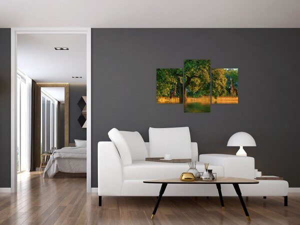 Tablou cu girafe în natură (90x60 cm)