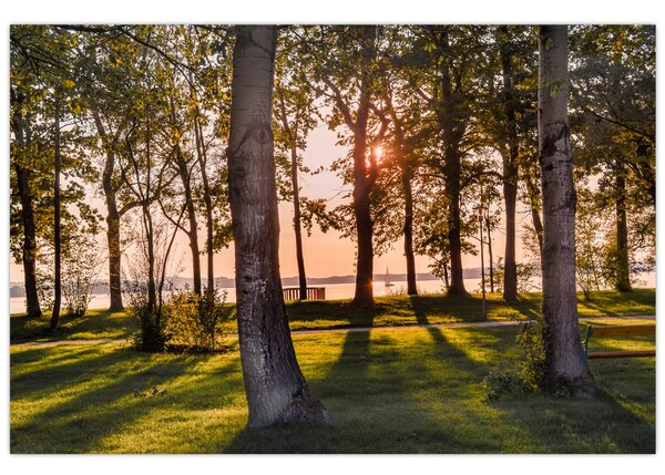Tablou cu pomi lângă lac (90x60 cm)