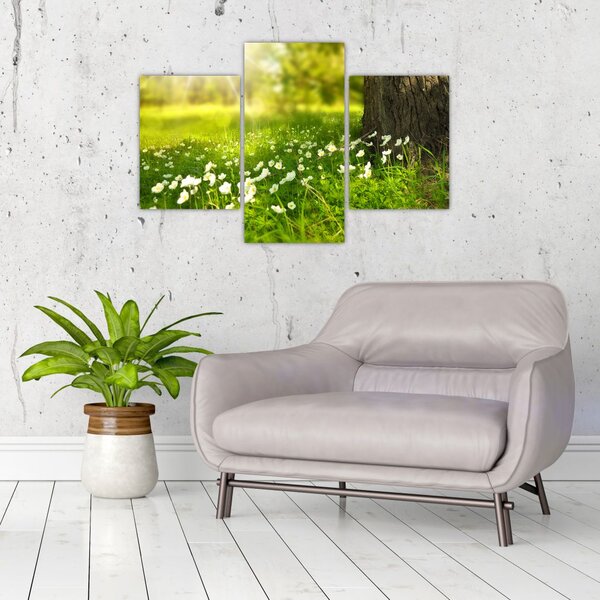 Tablou cu poiana și flori (90x60 cm)
