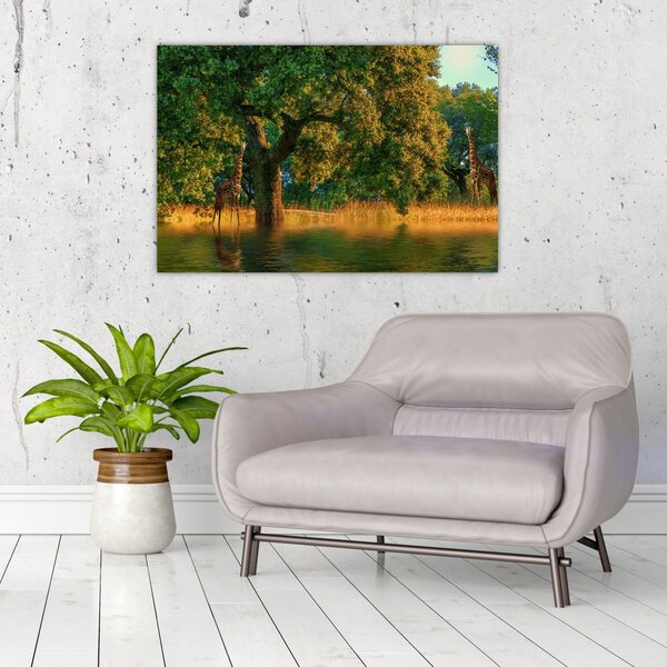 Tablou cu girafe în natură (90x60 cm)