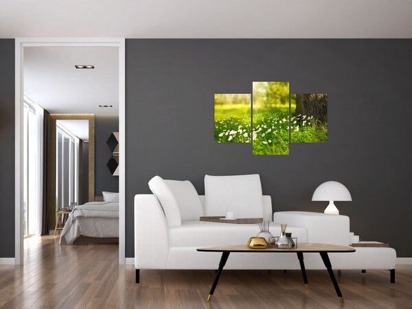 Tablou cu poiana și flori (90x60 cm)