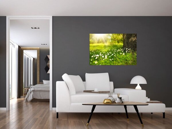 Tablou cu poiana și flori (90x60 cm)