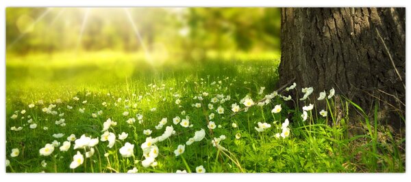 Tablou cu poiana și flori (120x50 cm)