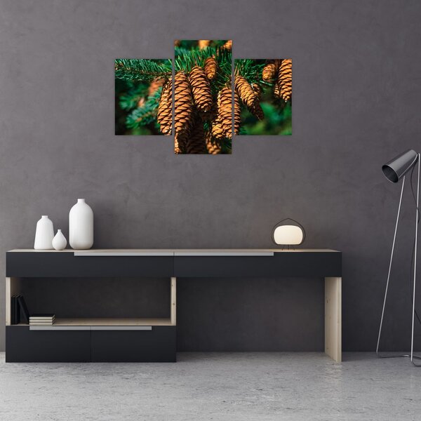 Tablou cu con de brad (90x60 cm)