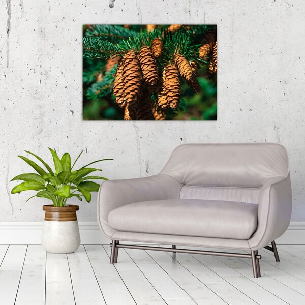 Tablou cu con de brad (70x50 cm)