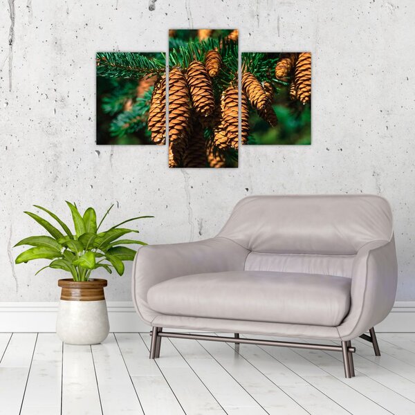 Tablou cu con de brad (90x60 cm)
