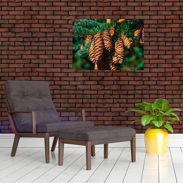 Tablou cu con de brad (70x50 cm)
