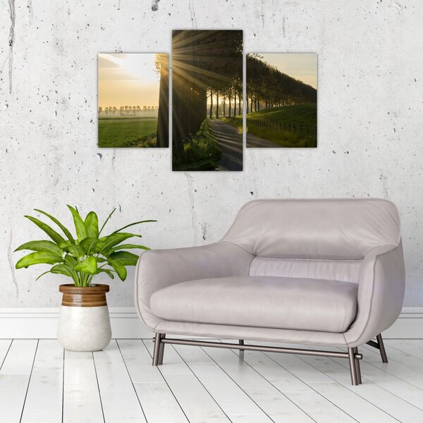 Tablou cu alee (90x60 cm)