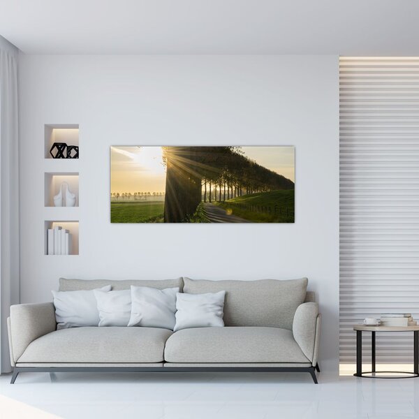 Tablou cu alee (120x50 cm)