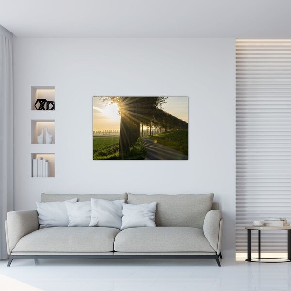 Tablou cu alee (90x60 cm)