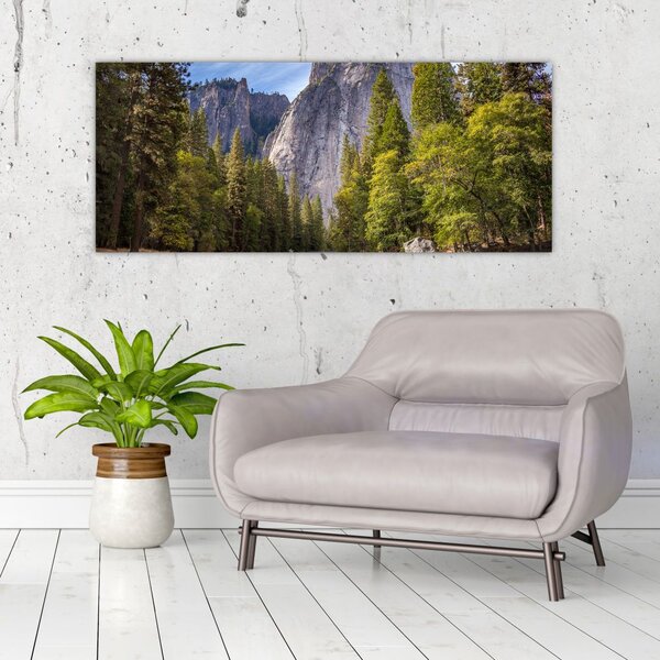 Tablou cu stânci (120x50 cm)