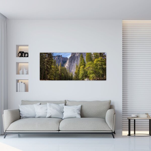 Tablou cu stânci (120x50 cm)
