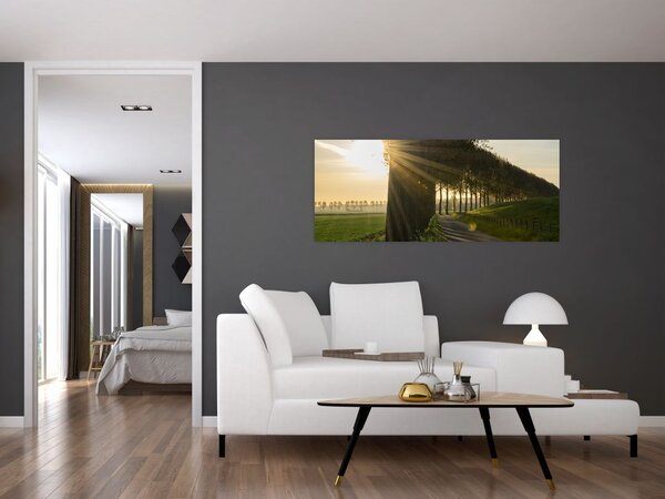 Tablou cu alee (120x50 cm)