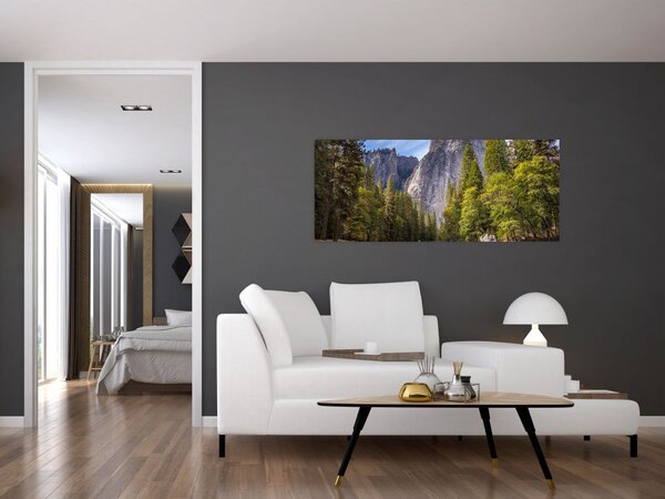 Tablou cu stânci (120x50 cm)