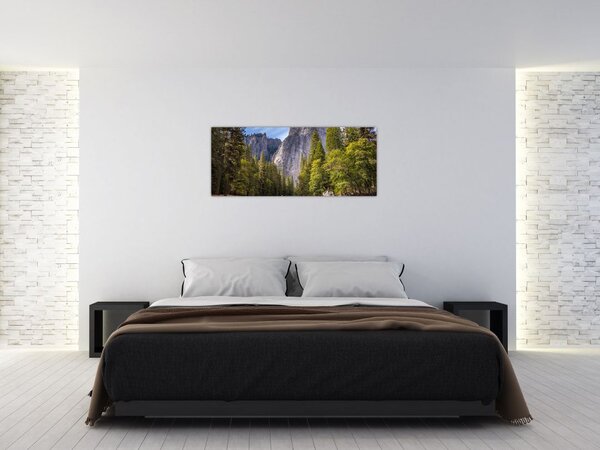 Tablou cu stânci (120x50 cm)