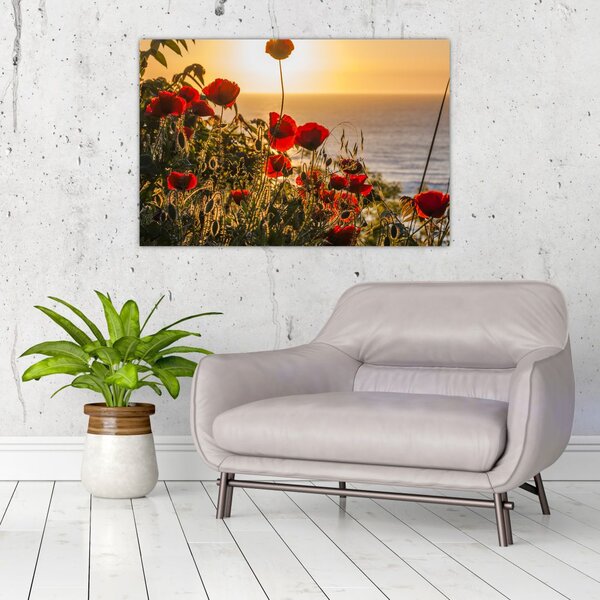 Tablou cu apus de soare cu flori de maci (90x60 cm)