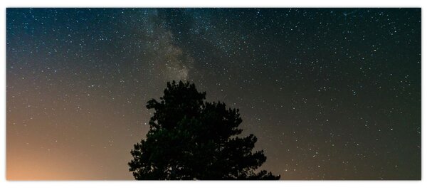 Tablou cu cerul nocturn și copaci (120x50 cm)