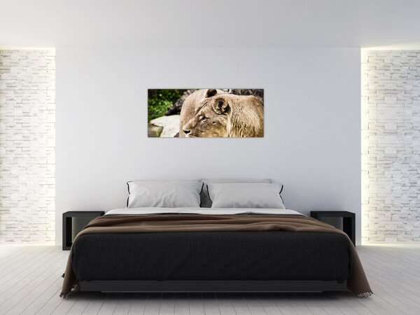 Tablou cu leoaică (120x50 cm)