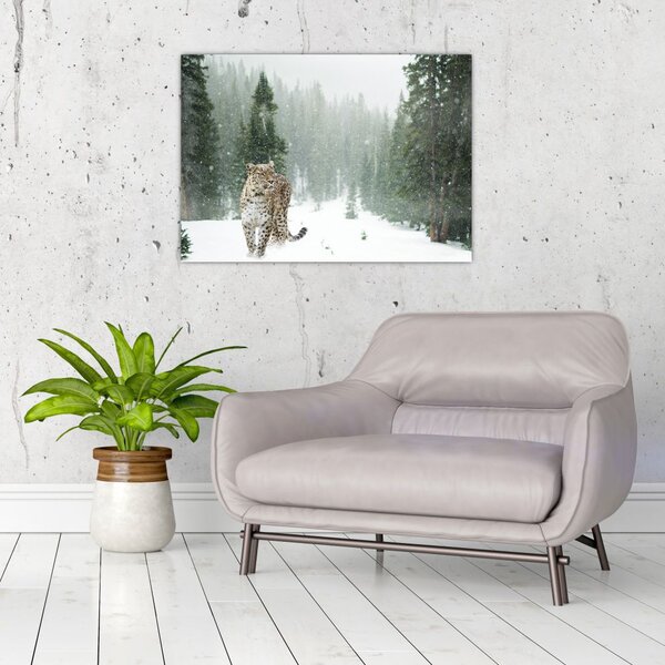 Tablou cu leopard în zăpadă (70x50 cm)