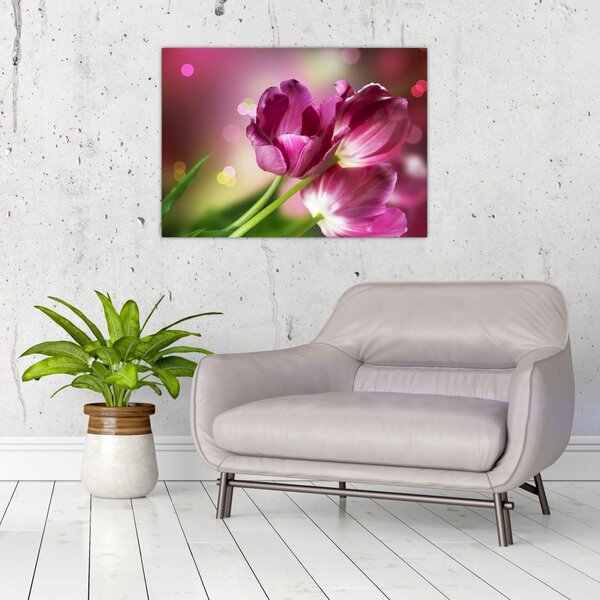 Tablou cu lalele roz (70x50 cm)
