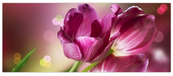 Tablou cu lalele roz (120x50 cm)