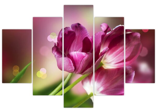 Tablou cu lalele roz (150x105 cm)
