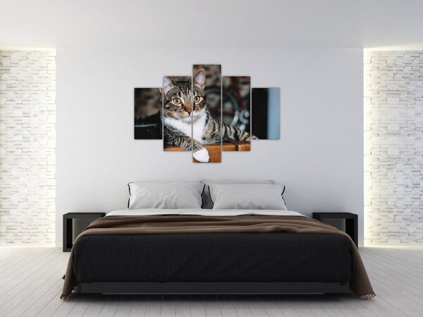 Tablou cu pisica (150x105 cm)