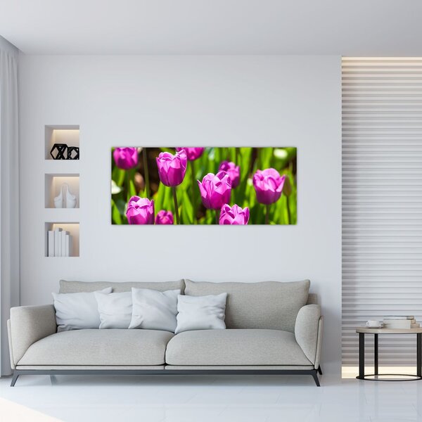 Tablou cu lale pe luncă (120x50 cm)