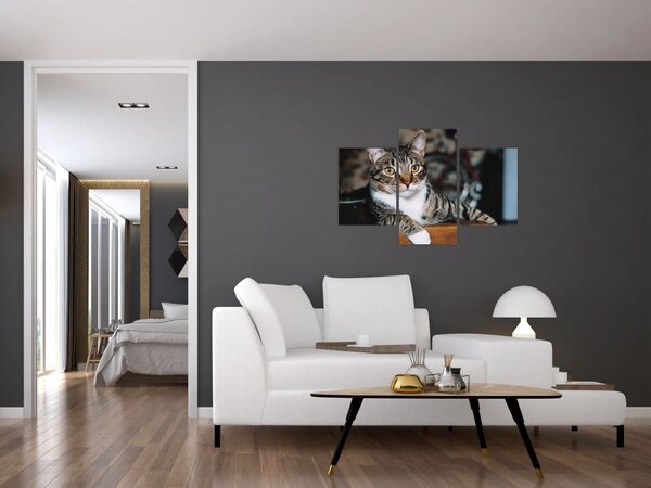 Tablou cu pisica (90x60 cm)