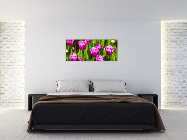 Tablou cu lale pe luncă (120x50 cm)