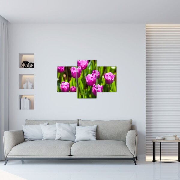Tablou cu lale pe luncă (90x60 cm)