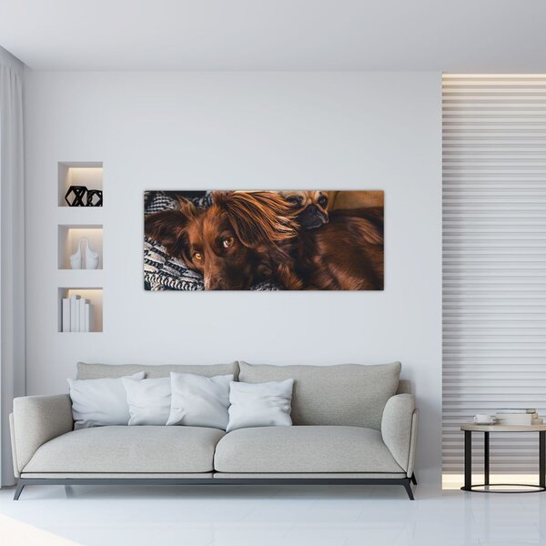 Tablou cu câini dormind (120x50 cm)