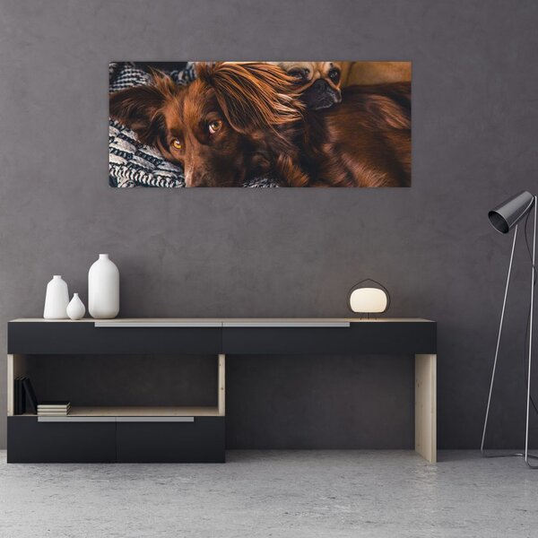 Tablou cu câini dormind (120x50 cm)