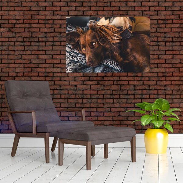 Tablou cu câini dormind (90x60 cm)