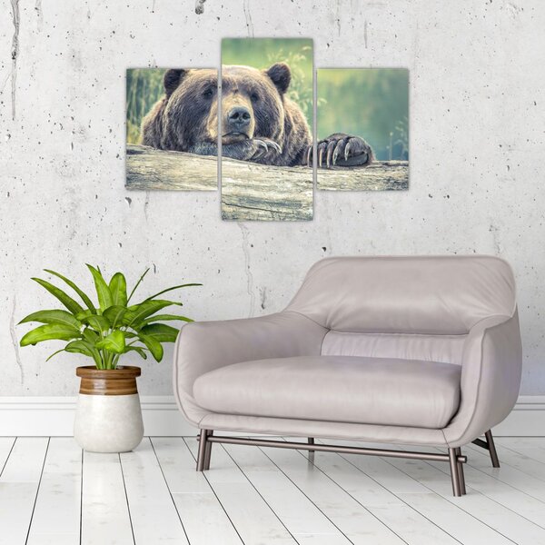 Tablou cu urs (90x60 cm)
