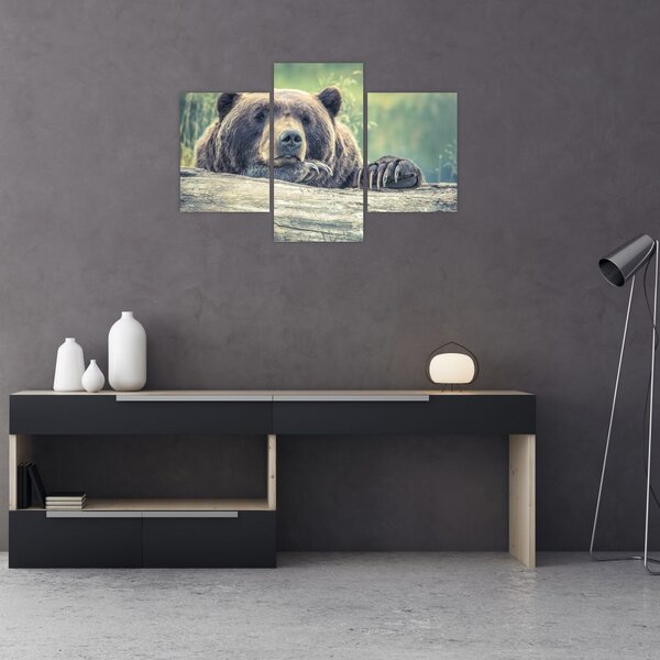Tablou cu urs (90x60 cm)