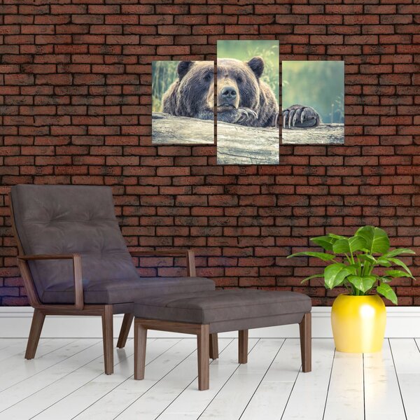 Tablou cu urs (90x60 cm)