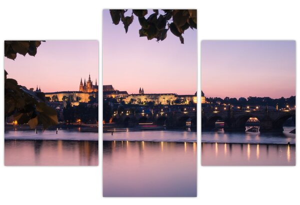 Tablou cu palatul din Praga și Vltava (90x60 cm)