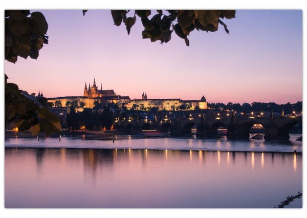 Tablou cu palatul din Praga și Vltava (90x60 cm)