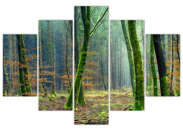 Tablou cu pădure (150x105 cm)