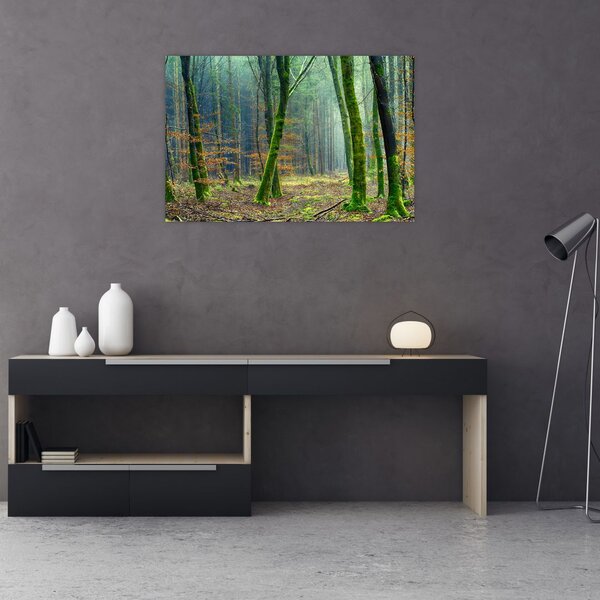Tablou cu pădure (90x60 cm)