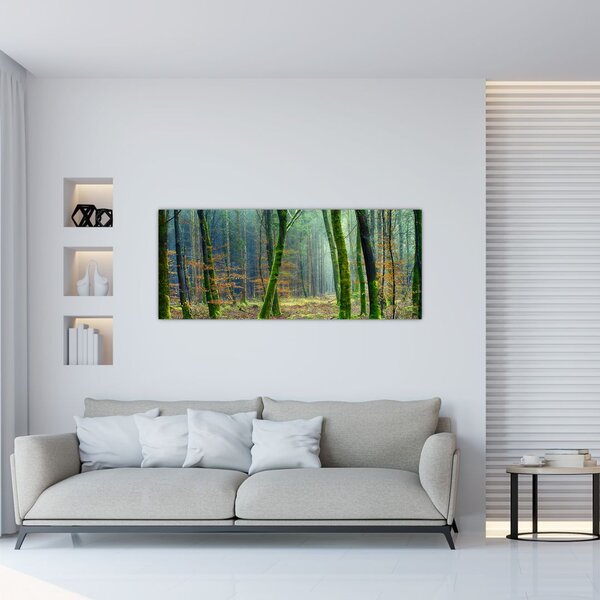 Tablou cu pădure (120x50 cm)