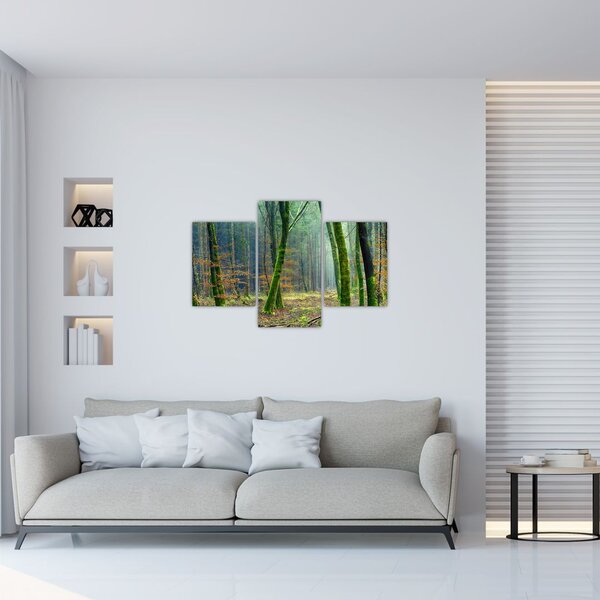 Tablou cu pădure (90x60 cm)