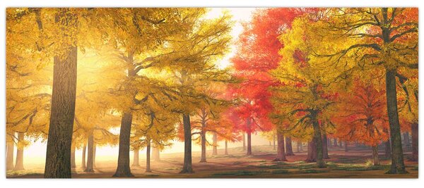 Tablou cu copaci toamna (120x50 cm)