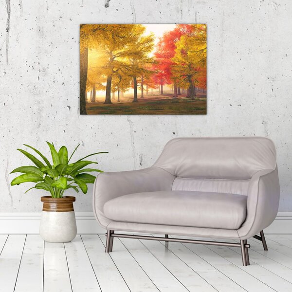 Tablou cu copaci toamna (70x50 cm)