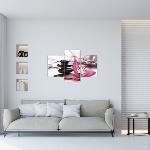 Tablou cupietre pentru masaj și orhidee (90x60 cm)
